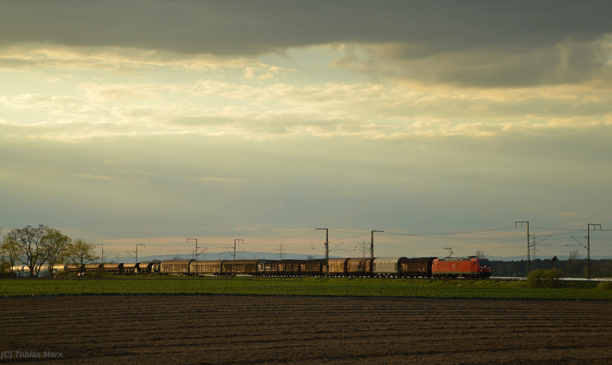 185 xxx mit einem Güterzug zwischen Klein-Gerau und Weiterstadt am 08.04.2016