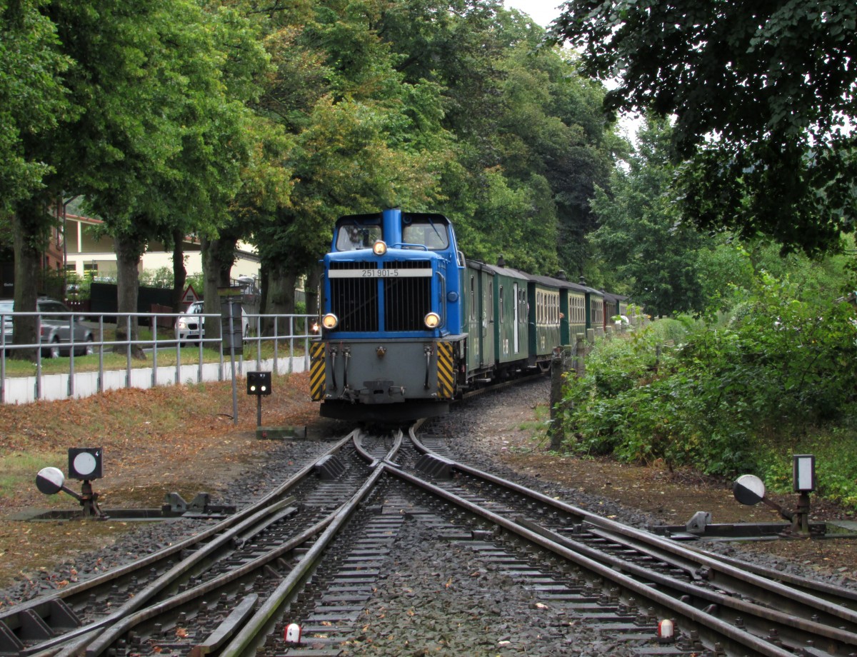 251 901-5 rollt mit P 104 am 02.08.2014 in den Bahnhof Binz ein