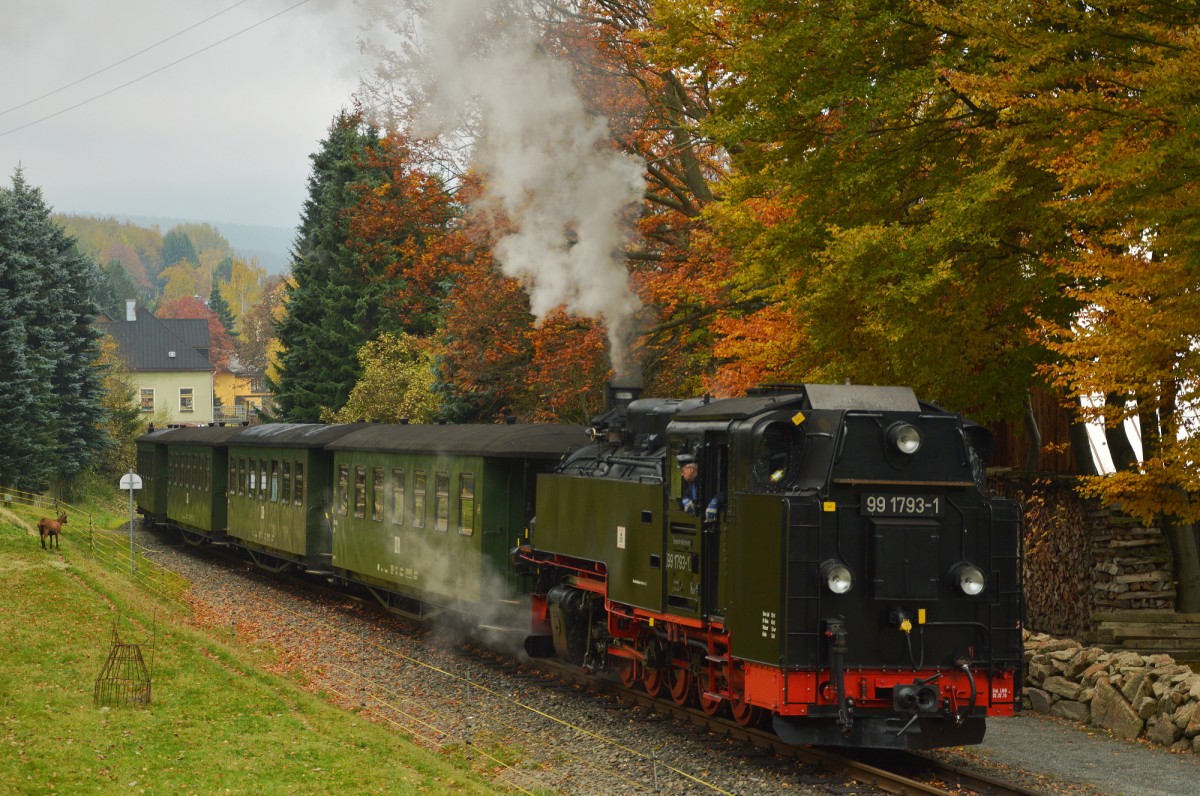 99 1793-1 bei der Ausfahrt aus Neudorf mit dem DR-Zug nach Cranzahl am 25.10.2015 (2)