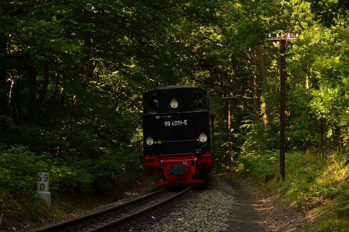 99 4011-5 passiert am 06.08.2015 mit P 103 den KM 59,0 vor Göhren