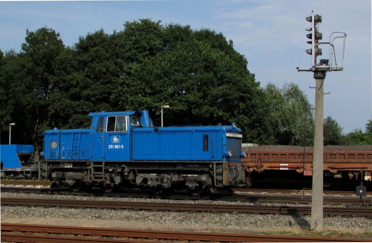 Die 251 901-5 stand am 02.08.2014 auf dem Bahnhof Bahnhof Putbus und wartete auf neue Arbeit