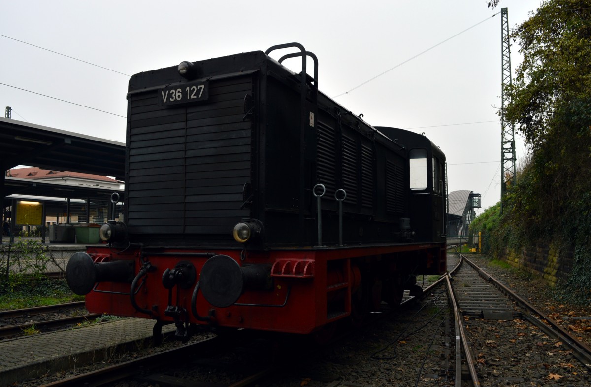 Die V 36 127 am 30.11.2014 im Eisenbahnmuseum Neustadt