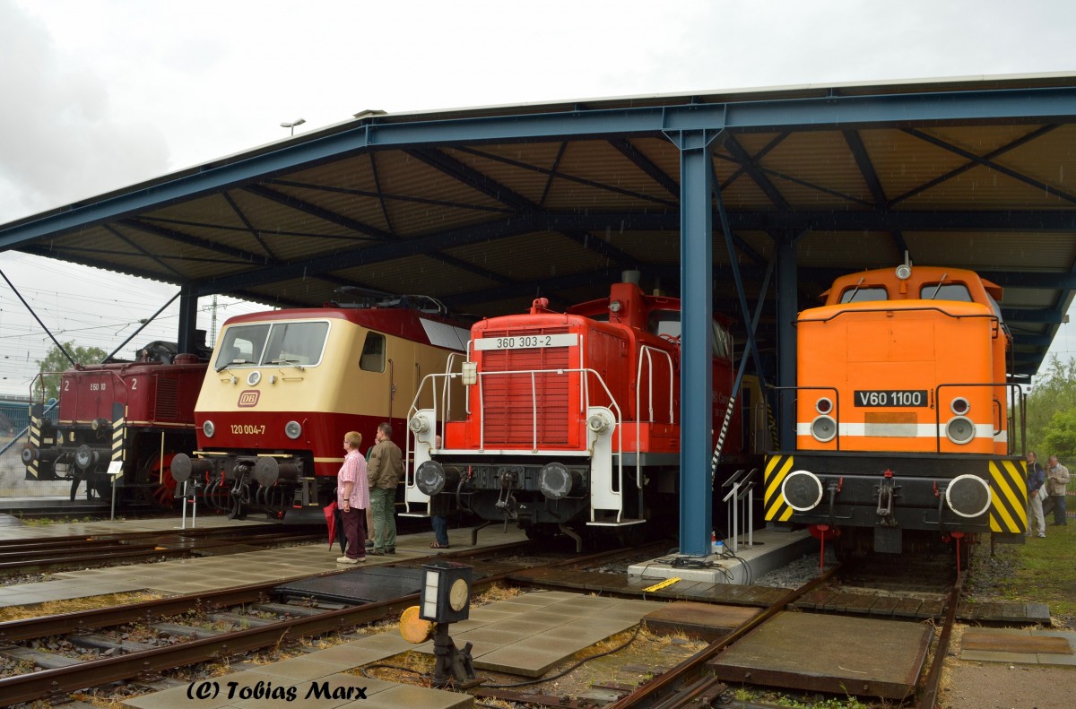 E 60 10, 120 004-7, 306 303-2 und V60 1100 waren am 13.06.2015 im Auenbereich des DB Museum Koblenz beim Sommerfest abgestellt.
