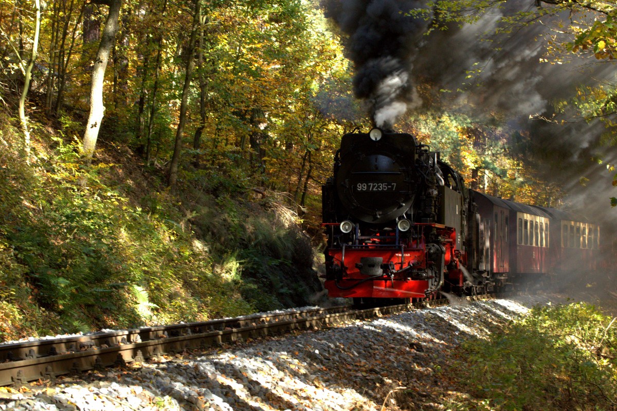 Ein Personenzug der Selketalbahn kurz nach dem Haltepunkt Osterteich.
19.10.2012 14:23 Uhr