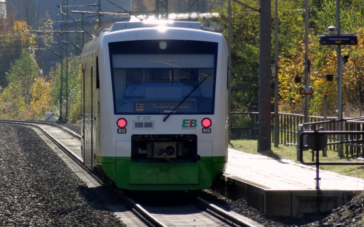 Ein VT650 der Elster-Saale-Bahn ist auf dem Weg nach Blankenburg unterwegs. 
Aufgenommen im Oktober 2013 in Kaulsdorf.