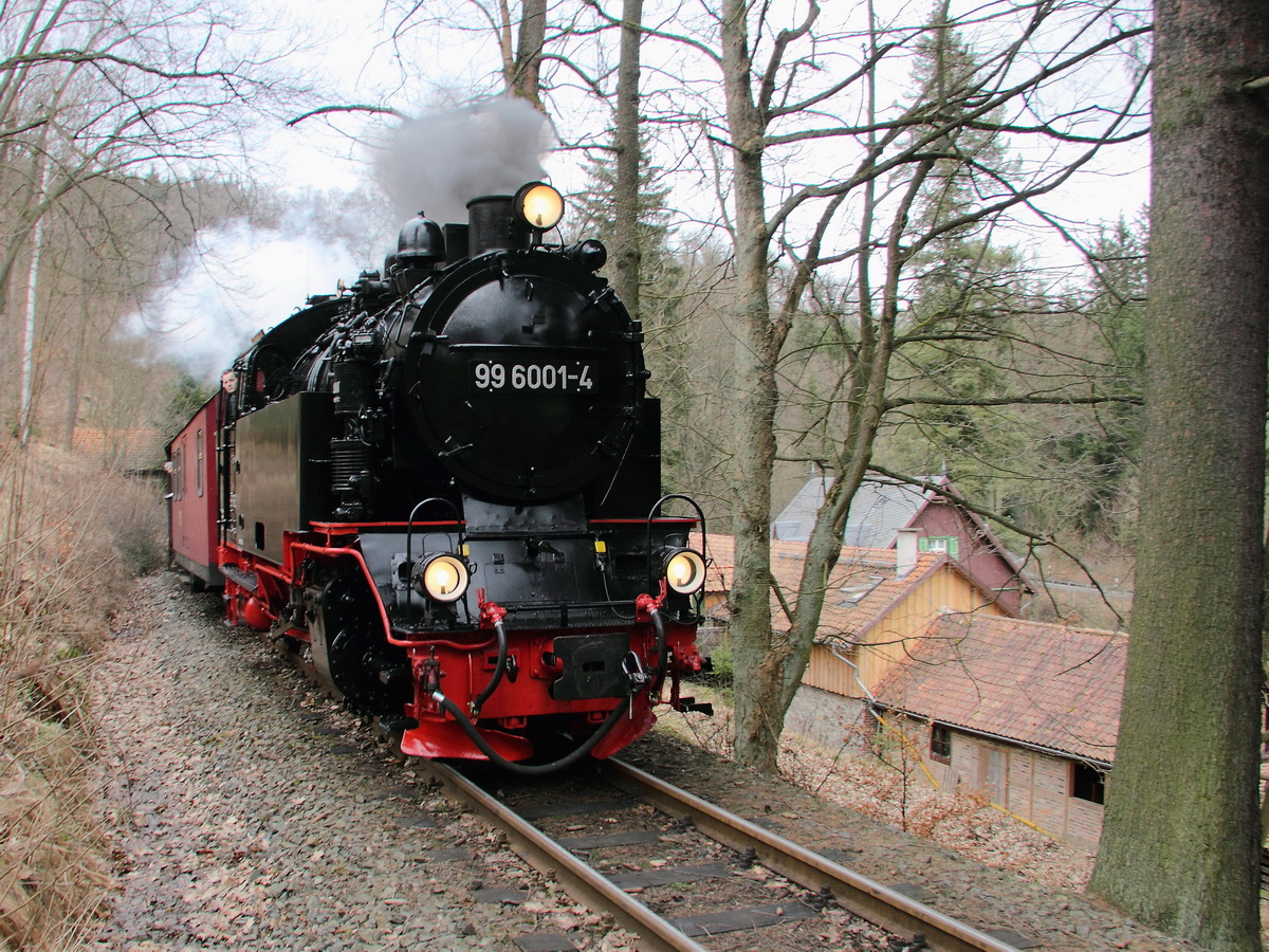 Einfahrt 99 6001- 4 als HSB 8965 nach Hasselfelde in den Haltepunkt Drahtzug  am 22. Februar 2014.