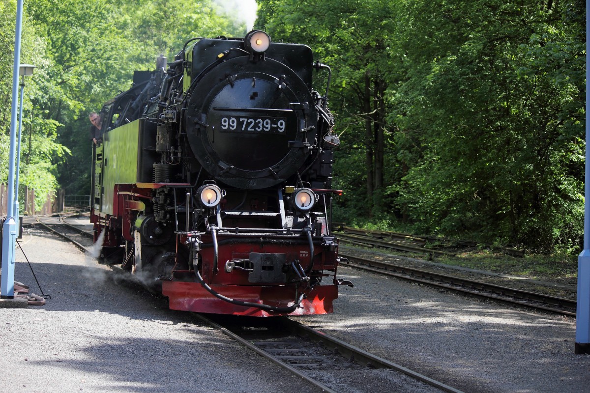 Rangierfahrt 99 7239-9 am 25. Mai 2014 in den Bahnhof Alexisbad um als HSB 8962 wieder nach Gernrode zu fahren.