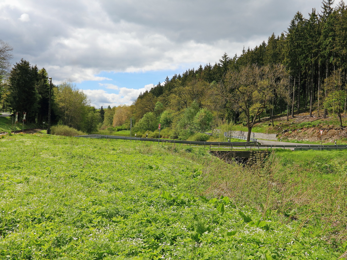 Übergang an der Strecke der Harzer Schmalspurbahn in Richtung Straßberg am 20. Mai 2017.