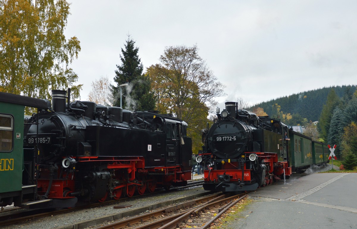 Zugkreuzung zwischen P 1008, mit Zuglok 99 1785-7, und P 1007, mit Zuglok 99 1772-5 am 25.10.2015 in Neudorf.