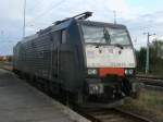 Am 13.September 2013 stand am Bahnsteig in Mukran Mitte die fr CTL Logistics fahrende MRCE ES64 F4-209.