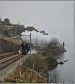 Kraftvoll dampft die 01 202 mit ihrem  Alpine Steam Express  dem Genfersee entlang. 
Bei St-Saphorin, den 19. Jan. 2014