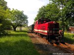 199 031 der Dllnitzbahn  Wilder Robert  unterwegs von Oschatz nach Mgeln am 4.6.16.
Platz 3 (Bild des Monats) Juni 2016