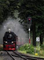 harzer-schmalspurbahnen/362934/99-236-rollt-mit-p-8922 99 236 rollt mit P 8922 in den Bahnhof Schierke am 13.08.2014 ein