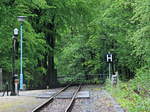 harzer-schmalspurbahnen/558068/19-mai-2017-wasserkran-im-bahnhof 19. Mai 2017, Wasserkran im Bahnhof Alexisbad.