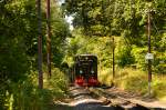 ruegensche-baederbahn/447177/99-1782-4-beim-halt-an-der 99 1782-4 beim Halt an der Selliner Trapeztafel am 03.08.2015 mit P 225