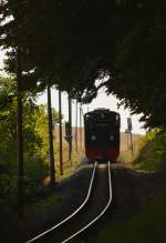 ruegensche-baederbahn/447653/99-1782-4-rollt-mit-p-109 99 1782-4 rollt mit P 109 hinter Seelvitz Bergab am 06.08.2015