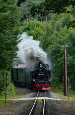 ruegensche-baederbahn/511288/99-1781-6-mit-p-224-zwischen 99 1781-6 mit P 224 zwischen Sellin West und Garftitz am 19.07.2016