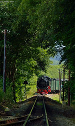 ruegensche-baederbahn/511292/99-1782-4-mit-p-104-kurz 99 1782-4 mit P 104 kurz vor Garftitz am 19.07.2016