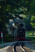 ruegensche-baederbahn/511314/99-1781-6-mit-p-231-zwischen 99 1781-6 mit P 231 zwischen Garftitz und Sellin West am 19.07.2016