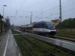 OLA VT0006 auf dem Weg von Stralsund nach Neustrelitz,am 02.November 2013,beim Halt im verregneten Bahnhof Demmin.