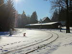 Schnee auf Bäumen und Boden im Bereich des Bahnhofes Alexisbad am 22.