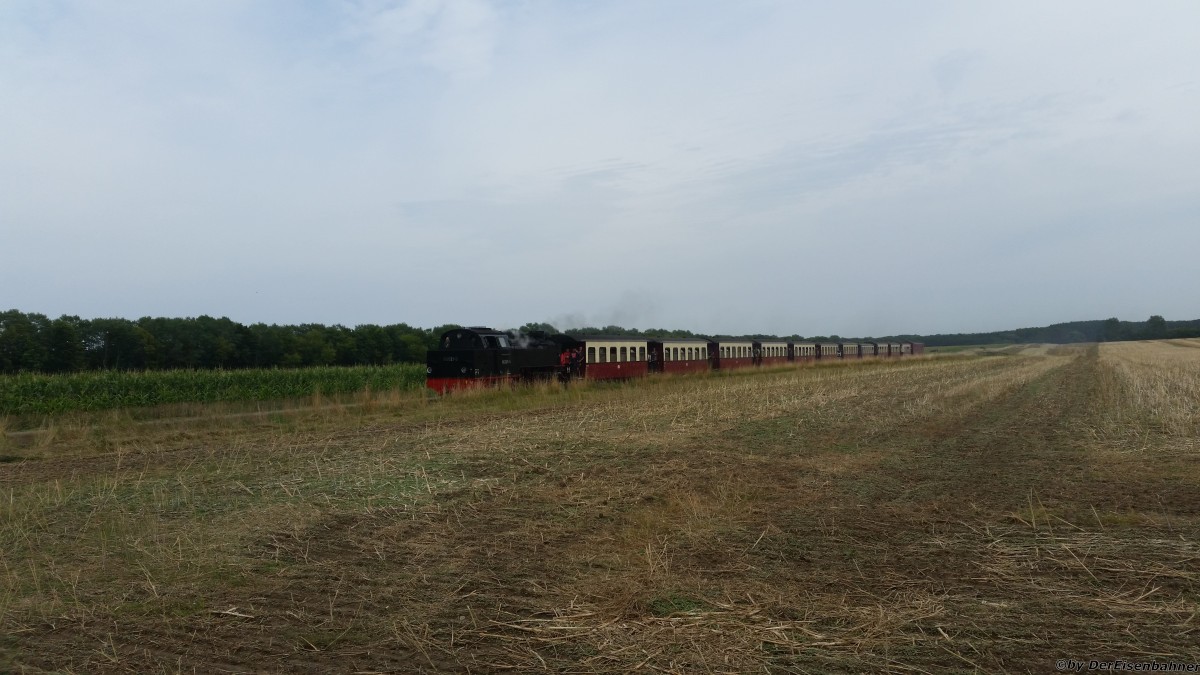  99 2321-0 fährt im Haltepunkt Steilküste ein (am 12.08.2015)