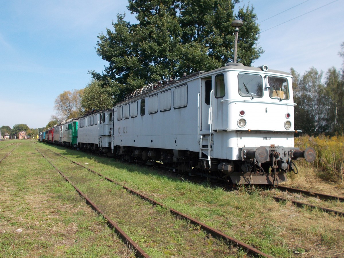 Sechs ehemalige DR 142er hatte man nach Meyenburg gebracht.Aufnahme am 28.September 2014.