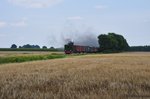 Die Dampflok  Niedersachsen  Dampft durch das Kornfeld bei Helminghausen am 23.07.2016