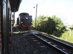 Lok 20 am 02.10.2016 mit ihrem Zug bei der Einfahrt in Bocksthal Richtung Hettstedt.