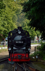 ruegensche-baederbahn/511305/99-1781-6-beim-umsetzen-in-binz 99 1781-6 beim Umsetzen in Binz LB am 19.07.2016