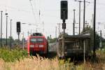 185 079 - 1  abgebgelt  vor einem leeren Autozug in Coswig   24.08.2013    15:14 Uhr.